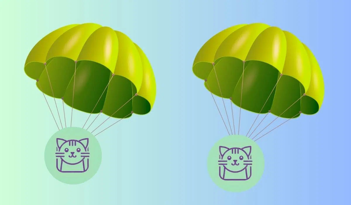 Kittenswap Airdrop