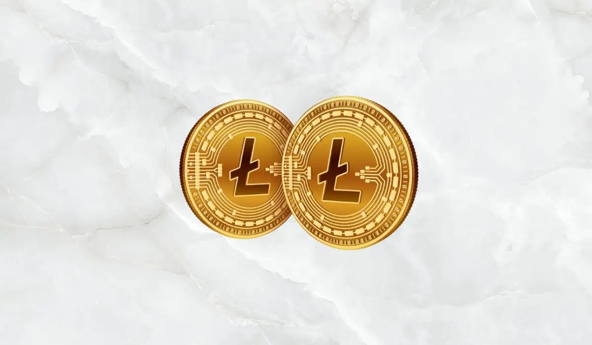 Deflationary Currency, Litecoin, and Just a Store of Value