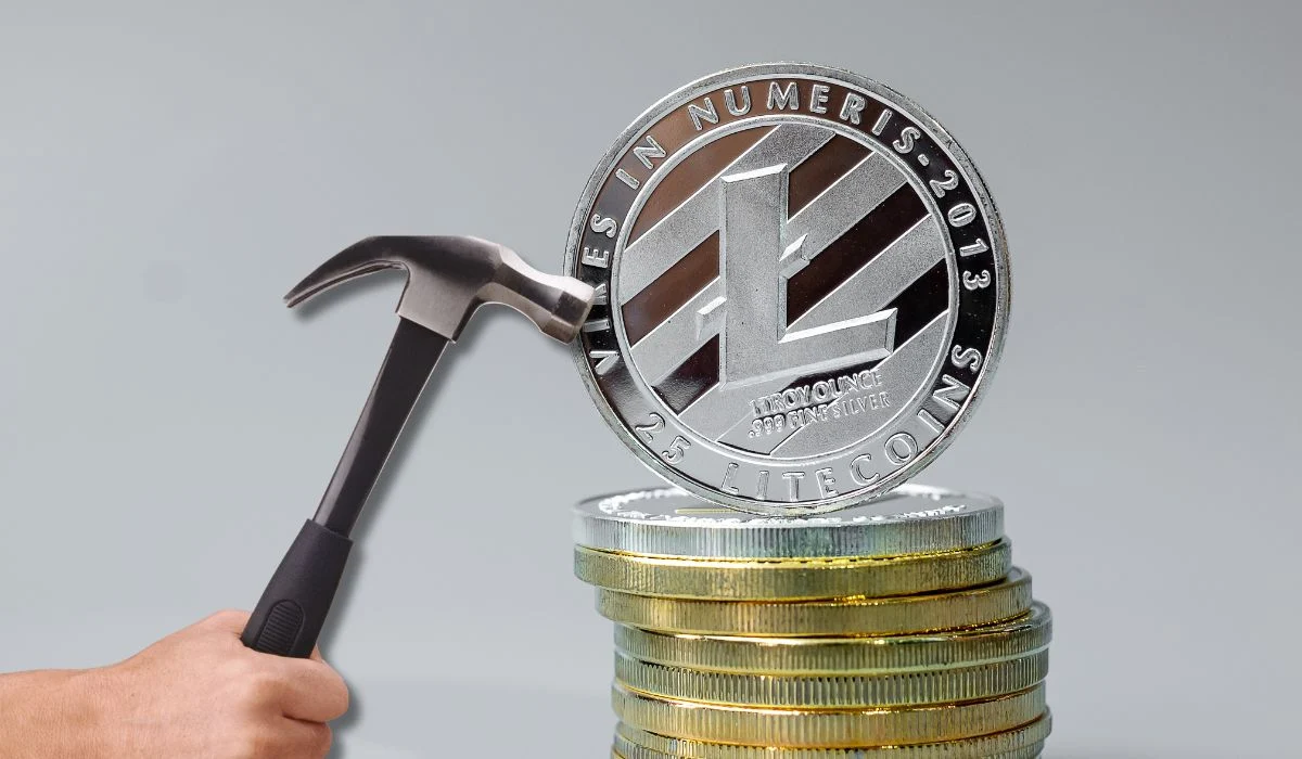 A Person Is Mining Litecoin