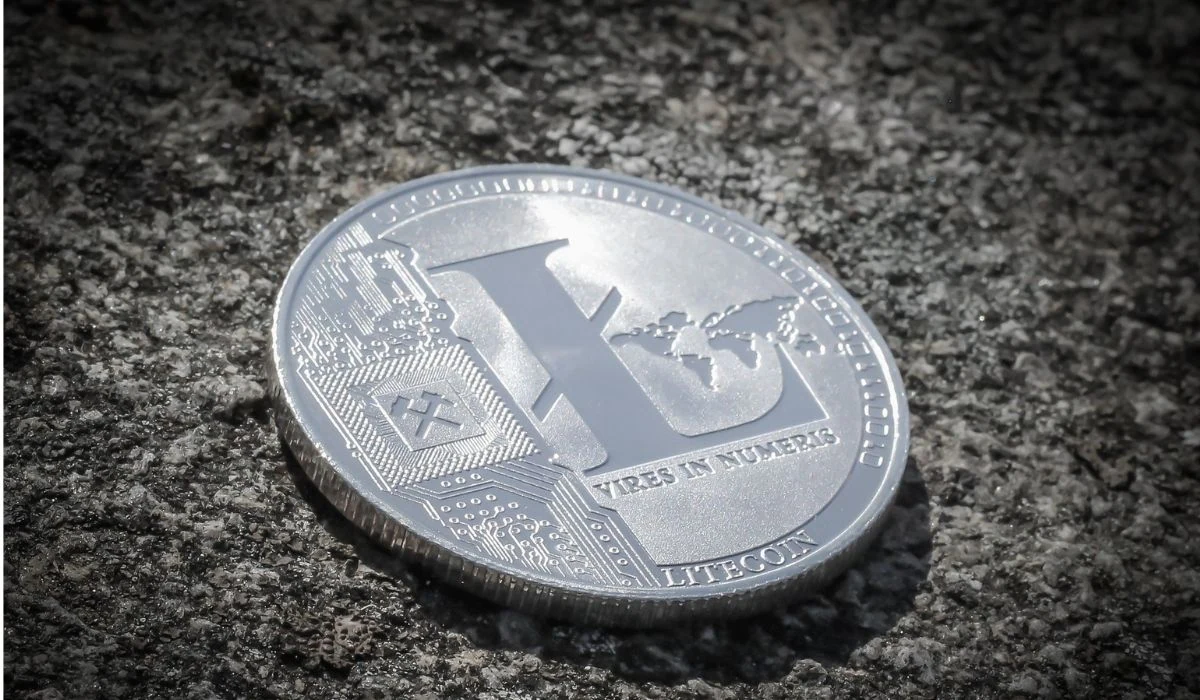 Litecoin on a rock surface