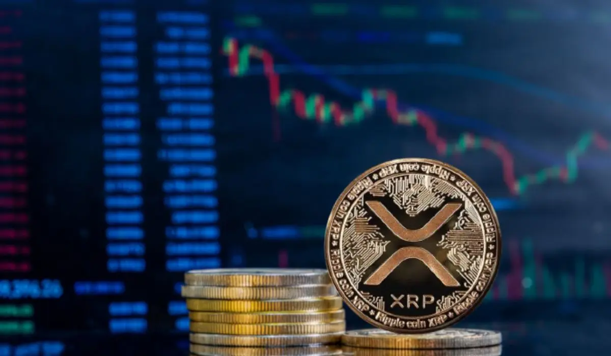 XRP ETF Overview