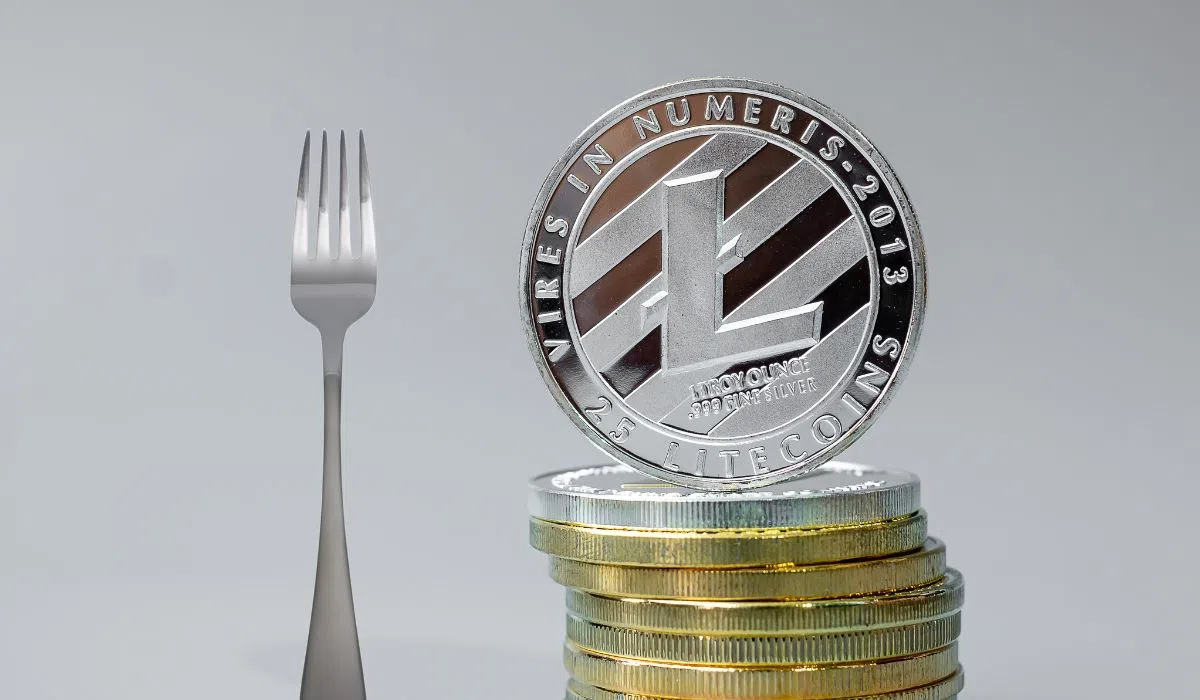 Litecoin Fork