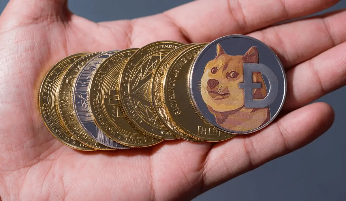 Person Holding Dogecoin